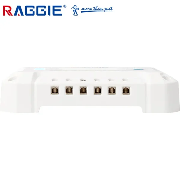 RAGGIE PWM Солнечный контроллер заряда 12В/24В – 10A / 20A / 30A / 40A / 50A — изображение 3